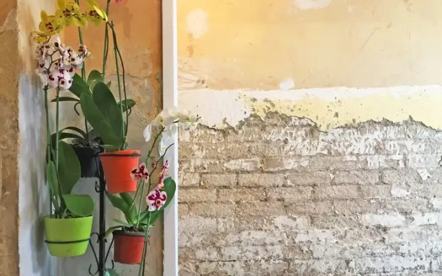 Gael Condesa - Hostel