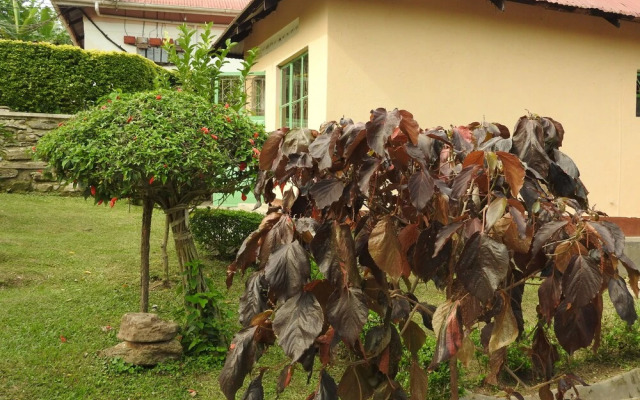 Green Village Apartments