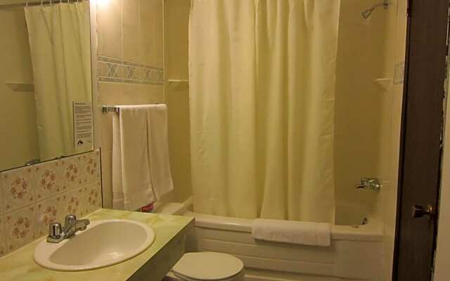 Lamplighter Viking Motel