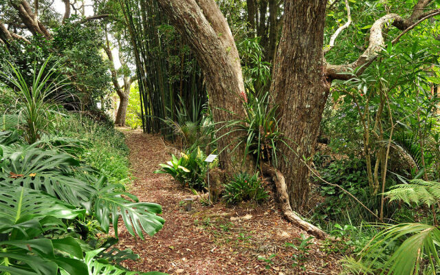 Sanctuary in the Cove