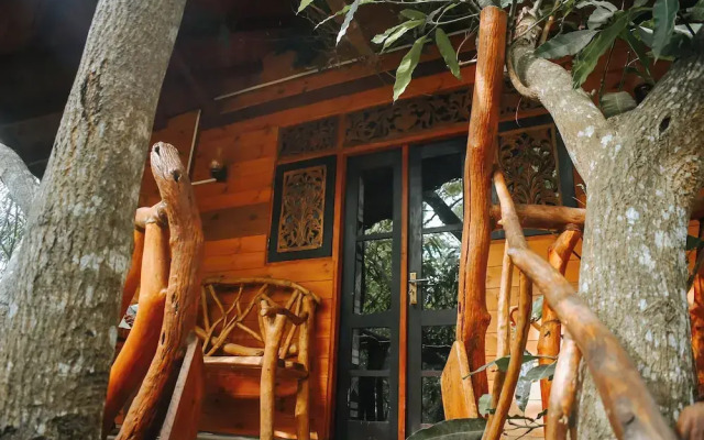 Dudley Nature Resort
