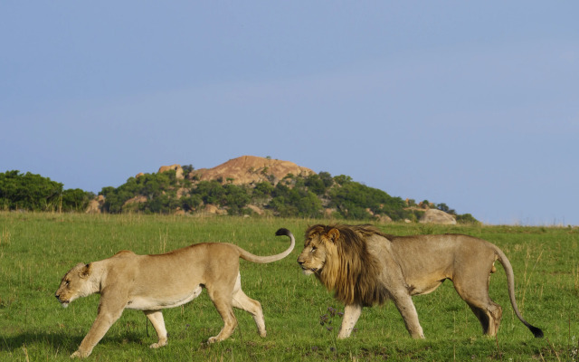Nkomazi Game Reserve by NEWMARK