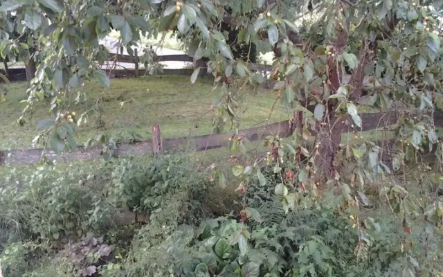 Ferienwohnung Weitblick