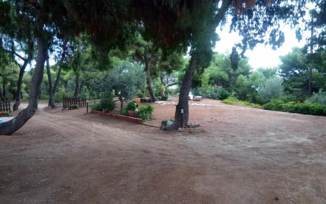 Pefkonas apartments2 100 m from the beach