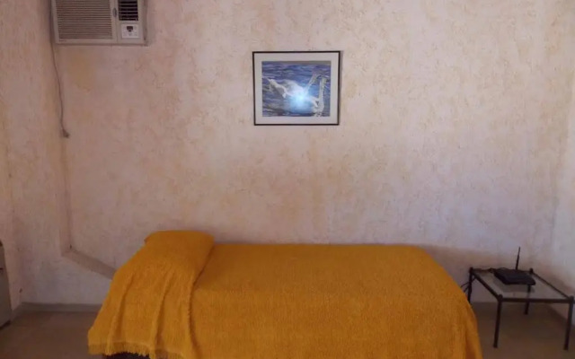 Virginia Departamentos