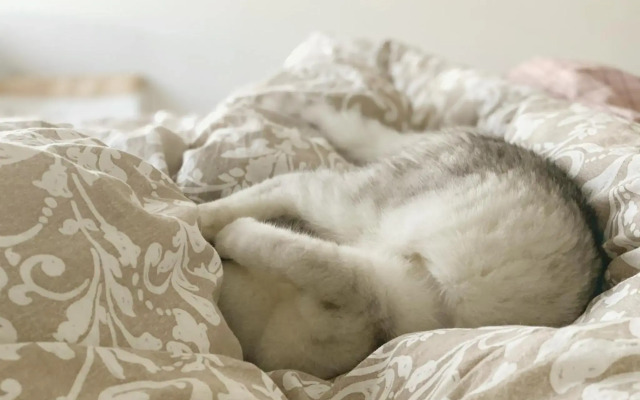 Zhe·Yi Boutique Guesthouse