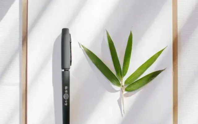 Hidden Township Li Shanyu Xiaoyuan Homestay (Beijing Hu called Branch)