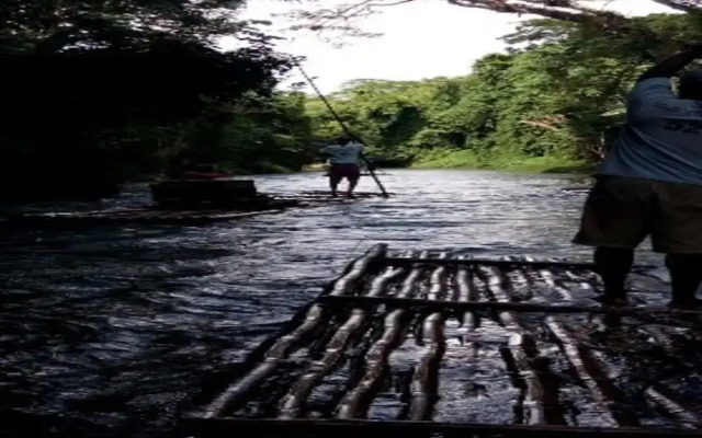 Come Dance Underneath The Reggae Moon