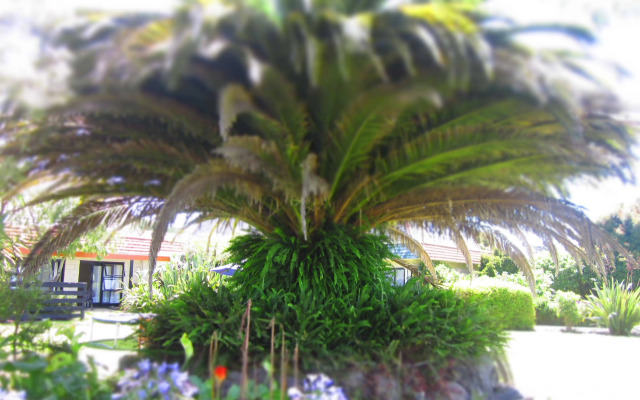 Bay of Islands Country Lodge Motel