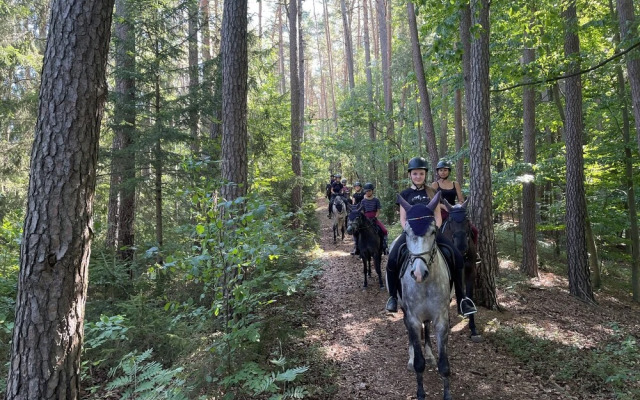 Pension & Reitschule Fuchsenhof