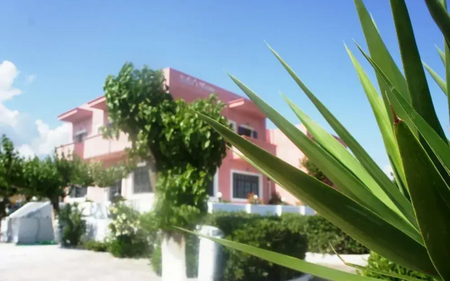Sofia's House