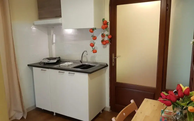 Apartment Versilia
