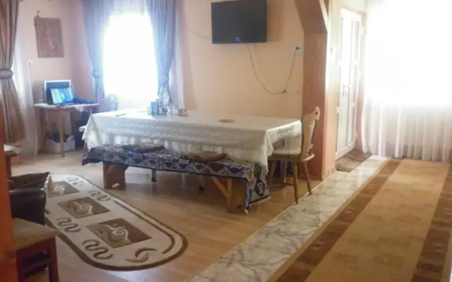 Pensiunea Ana Orghici