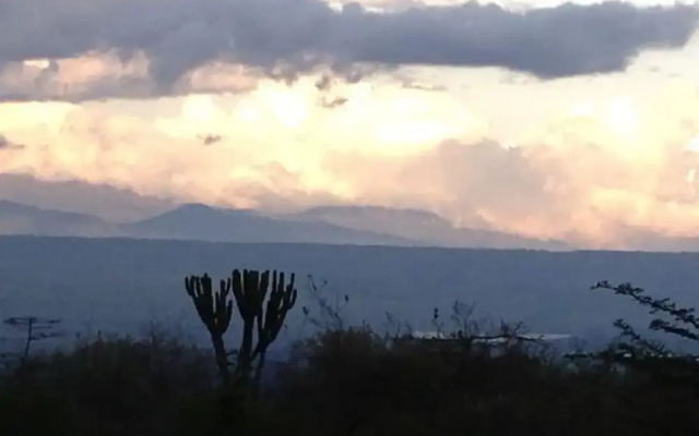 Marula House