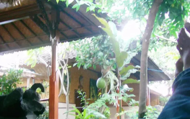 Pondok Frog Guest House