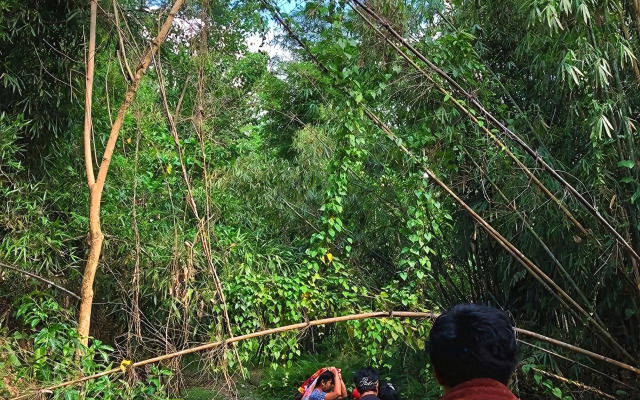 Singalong Nature Camphill Site