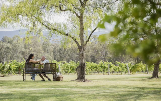 Spicers Vineyards Estate