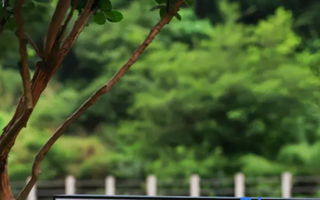 Yandang Mountain Wild Flower Homestay – Outside – Wenzhou