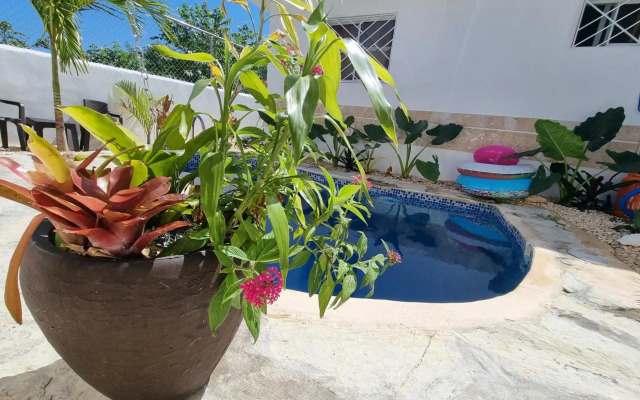 Luxury House Bungalow and apartments La Botánica Tropical