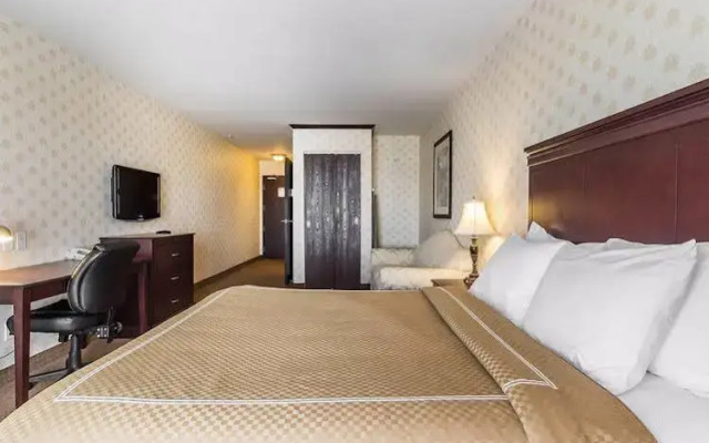 Comfort Inn & Suites