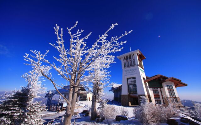 Mona Yongpyong Tower Condominium