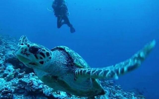 Sundive Lodge Maldives