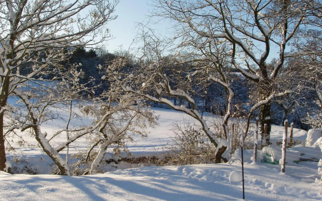 Millbrook B&B