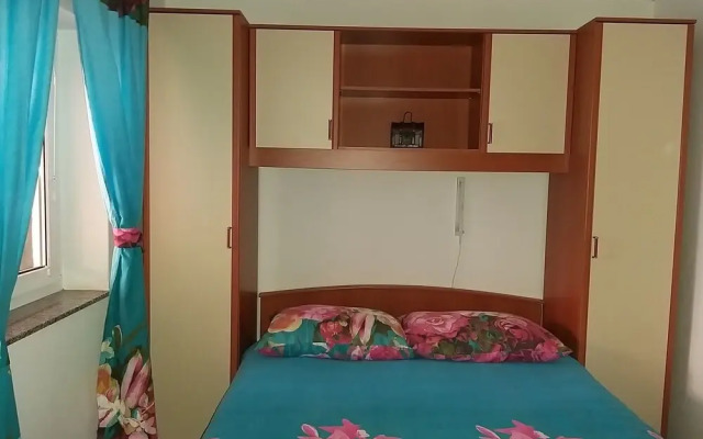 Apartment Zoran