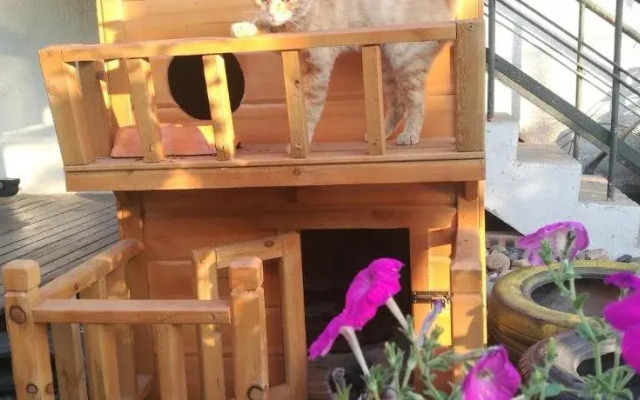 Luoyang Anximen Young Hostel