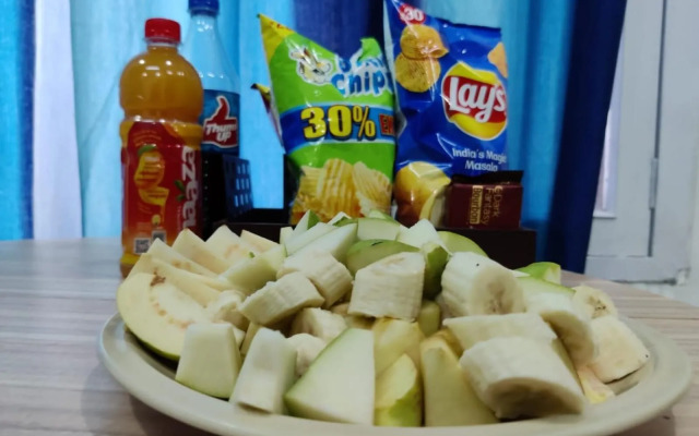 A sleepy Fox - Hostel