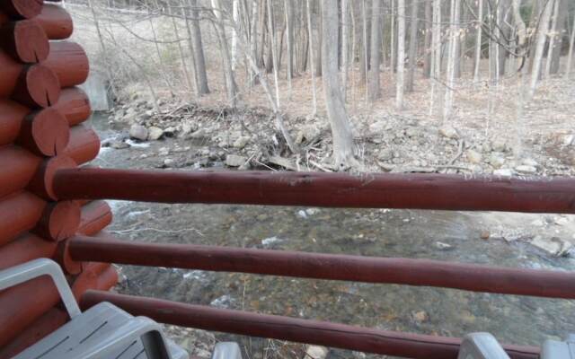 Seven Dwarfs Motel and Cabins