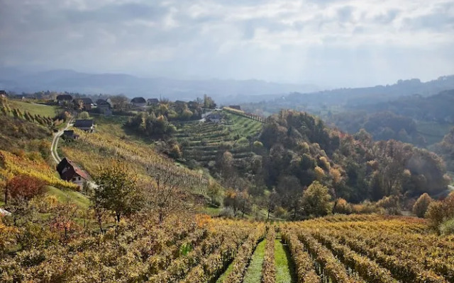 Vineyard cottage Ucman