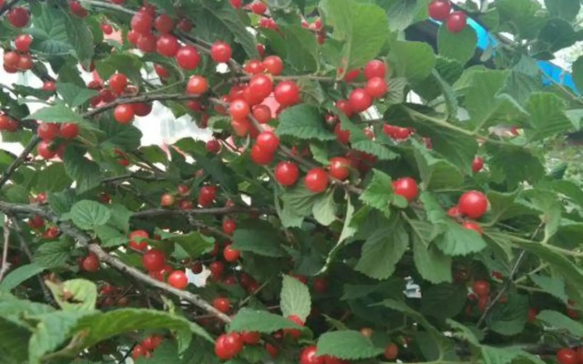 Yunshang Business Hotel