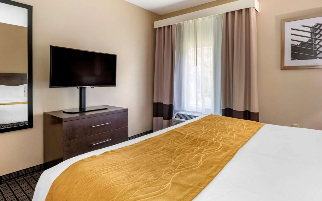 Comfort Inn & Suites Cincinnati Uptown Clifton