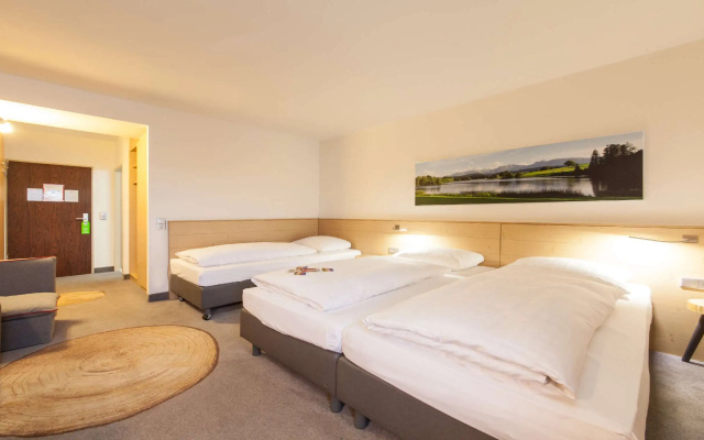 Standard Triple room (3 single beds)