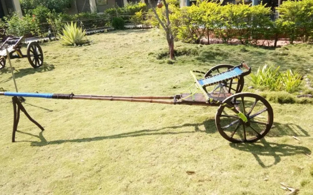 Serai Tiger