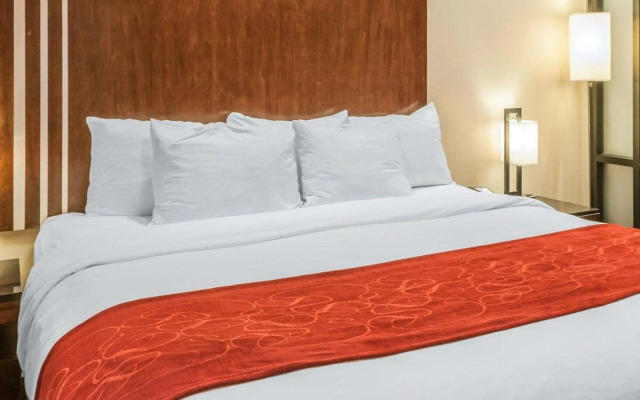 Comfort Suites Roswell North