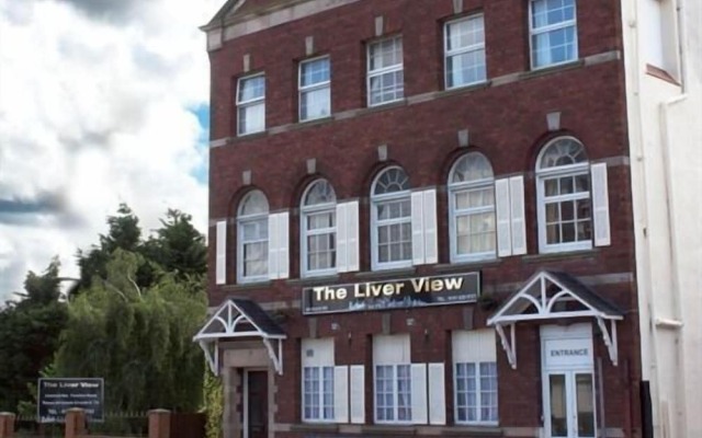 The Liver View