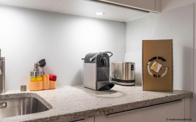 Mountain Apartments Zermatt Nr 6