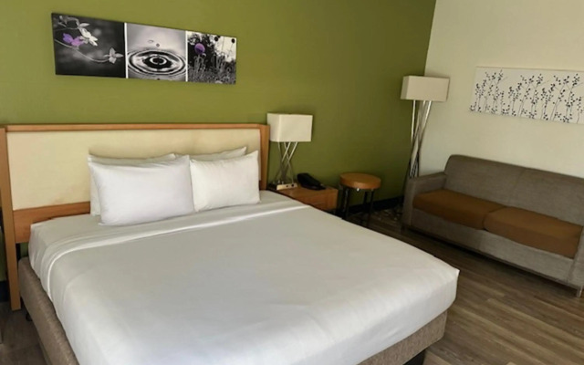 Sleep Inn & Suites