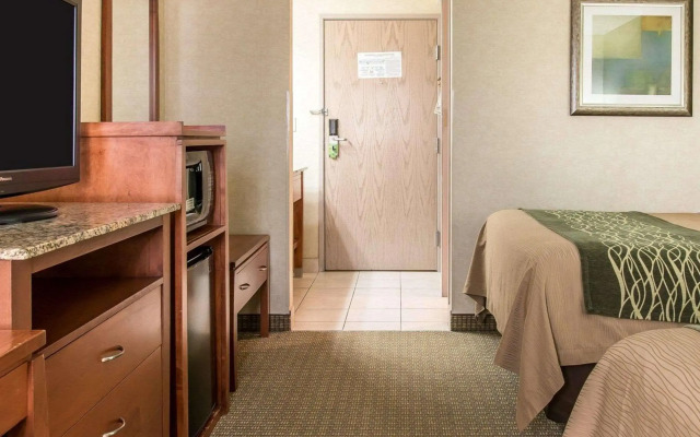 Comfort Inn Near Greenfield Village