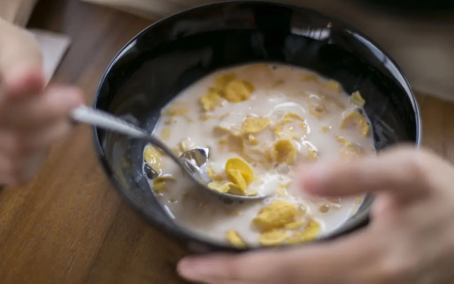 The Rooftop Residence Hostel