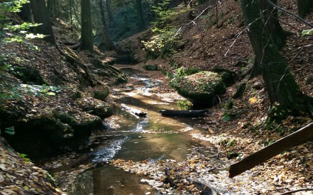 Ferienwohnung Günther