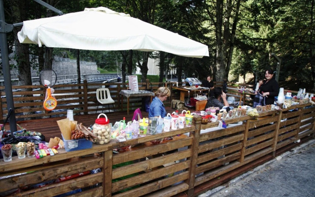 Sairme Resort