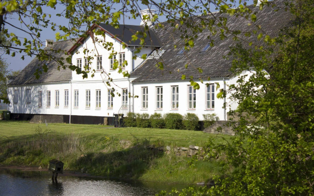 Rønhave