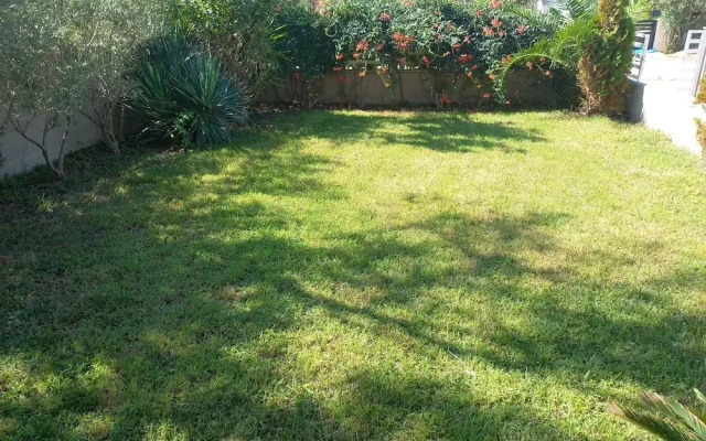 Palm Garden Apartment