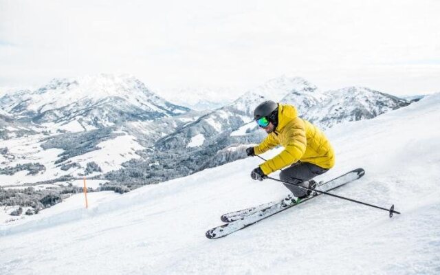 Alpenappartement Europa