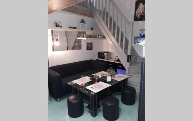 Home Zen - F1 en duplex