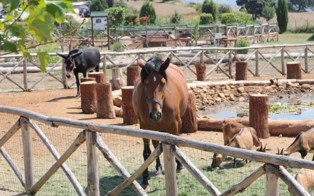 Popilia Country Resort
