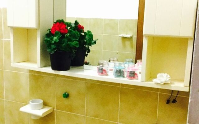 Candy Guest House